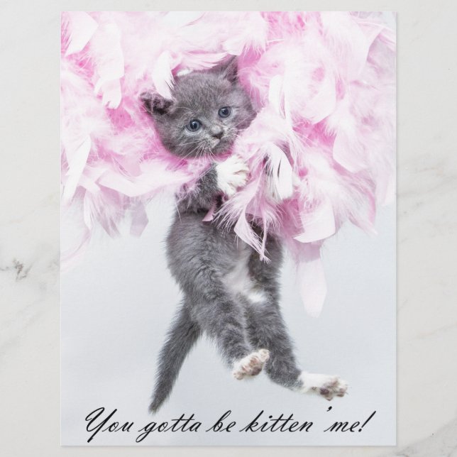 Humorose Niedlich Funny Cat (Vorderseite)