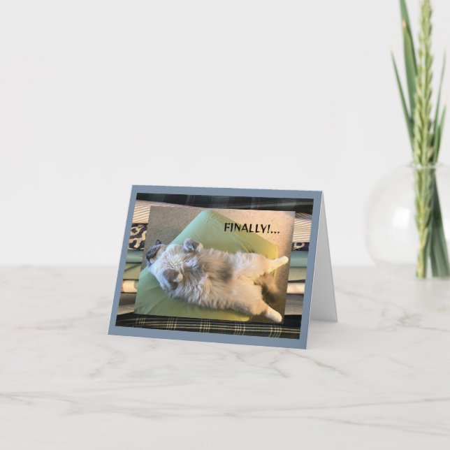 humorvoll, lustig und albern karte (Vorderseite)