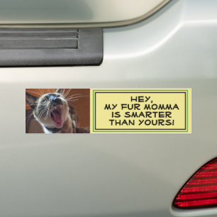Humorvolle Siamese Kitten Nah-Up-Fotovorlage Autoaufkleber