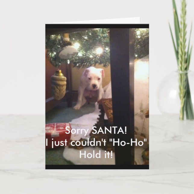 Humorvolle WEIHNACHTSkarte! Feiertagskarte (Vorderseite)