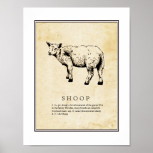 Humorvolle wissenschaftliche Illustration - Shoop Poster