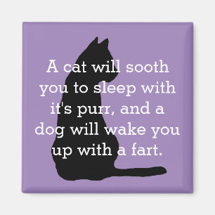 Humorvoller Katzen-und Hundevergleichs-Magnet Magnet