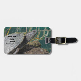 Humorvolles Turtle-Foto Erleben Sie die Augenreise Gepäckanhänger