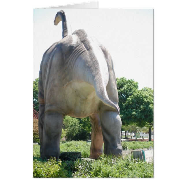 Humour/Amusant (Devant)