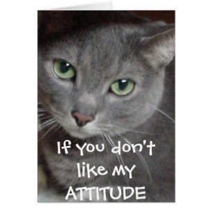 Humour d'attitude de chat bleu russe