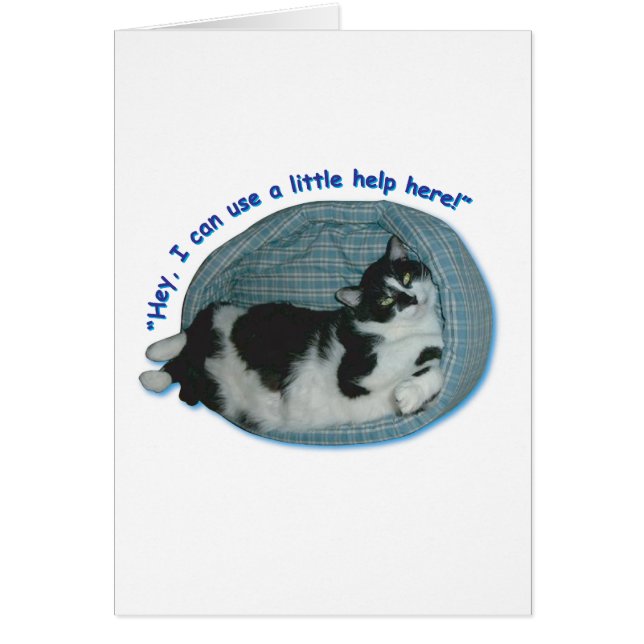 Humour de chat Tuxedo (Devant)
