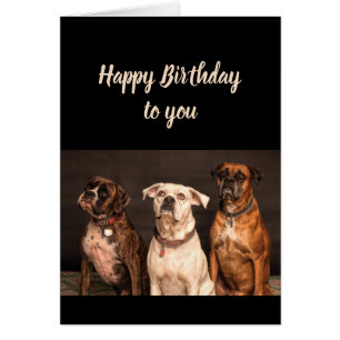Humour de gâteau d'anniversaire de tous nous Boxer