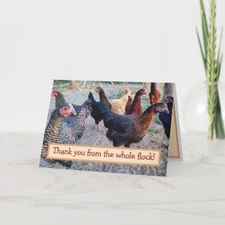 Humour de poulets drôle Barnyard Carte de remercie