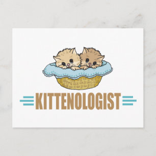 Humour Kitten Lover Postkarte