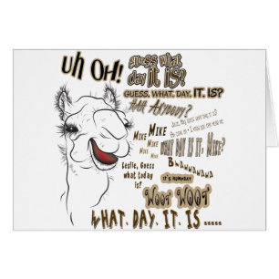 Hump Day Camel