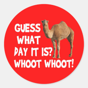 Hump Day Camel raten, welcher Tag es ist Aufkleber
