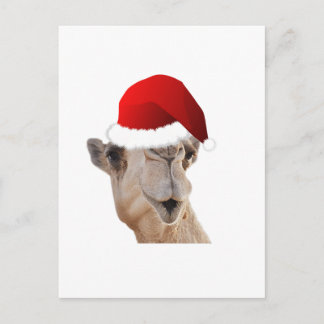 Hump Day Camel Santa Claus Hat Feiertagspostkarte