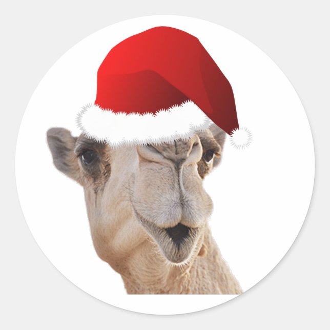 Hump Day Camel Santa Claus Hat Runder Aufkleber (Vorderseite)