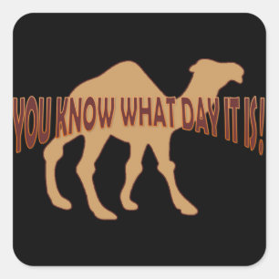 HUMP DAY HUMP DAY CAMEL QUADRATISCHER AUFKLEBER