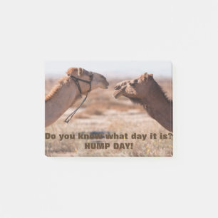 Hump-Day-Kamele Post-it Klebezettel