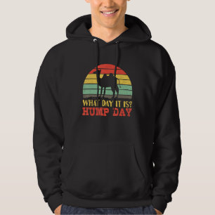 Hump Day Mittwoch für einen Mittwoch Kamel Hoodie