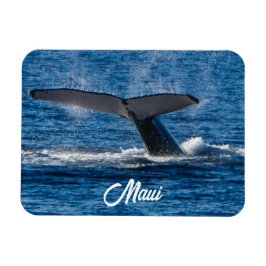 Humpback-Walbild auf Maui Magnet