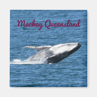HUMPBACK WALE SCHWANZ MACKAY QUEENSLAND AUSTRALIA MAGNET