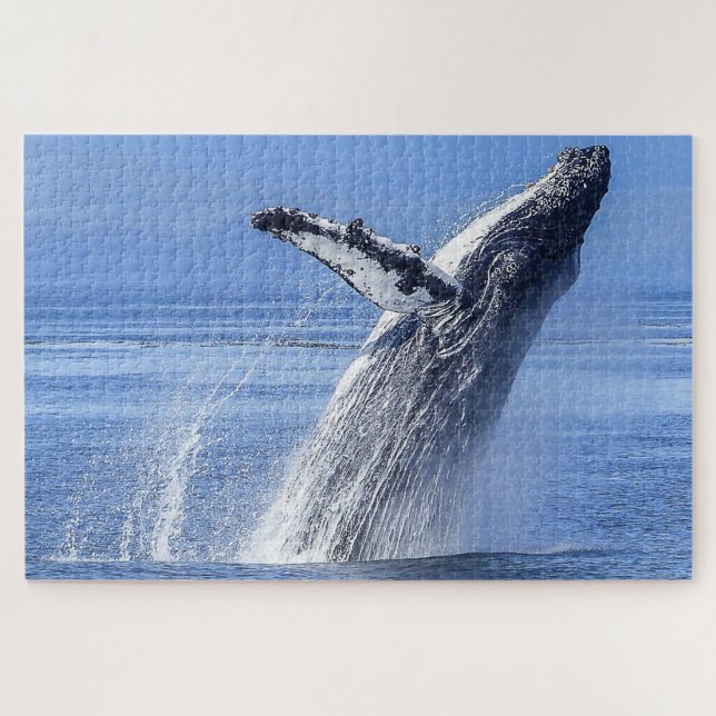 Humpback Whale Alaska (Horizontal)