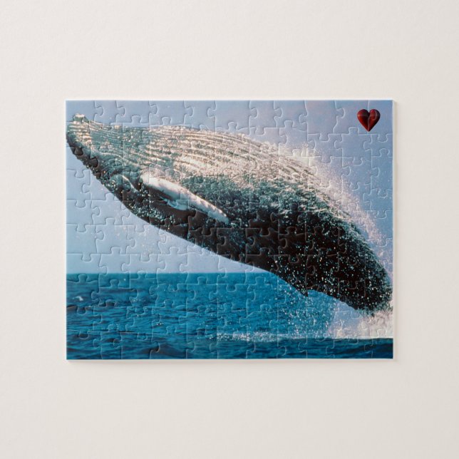 Humpback Whale Alaska (Horizontal)