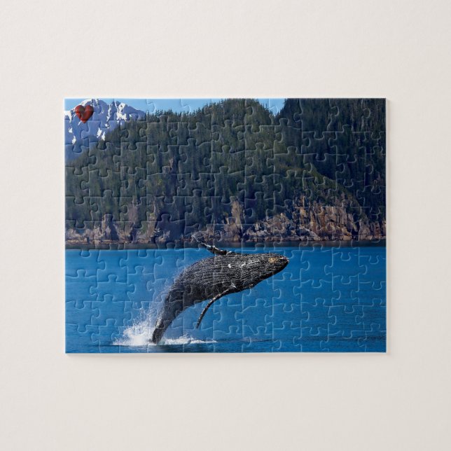 Humpback Whale Alaska (Horizontal)