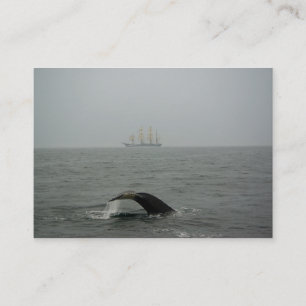 Humpback Whale and Tall Ship 2 Mini Print Visitenkarte