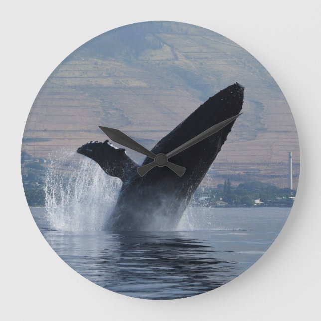 humpback whale breaching große wanduhr (Vorderseite)