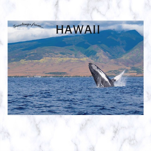 Humpback Whale Breaching Lahaina Hawaii Postkarte (Von Creator hochgeladen)