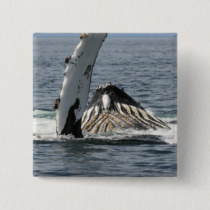 Humpback Whale Button