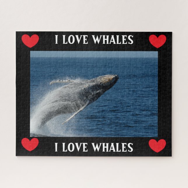 Humpback Whale - der Bruch (Horizontal)