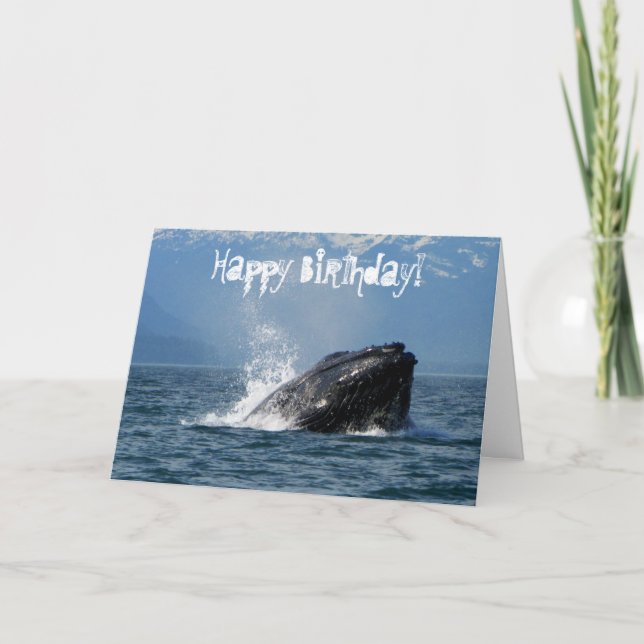 Humpback Whale Fütternd Karte (Vorderseite)