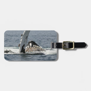 Humpback Whale Gepäckanhänger