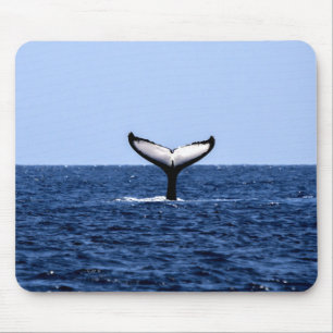Humpback Whale im Ozean Mousepad