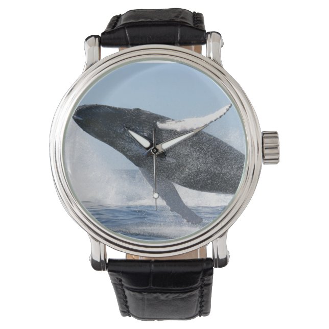 Humpback Whale Jumping High Armbanduhr (Vorderseite)