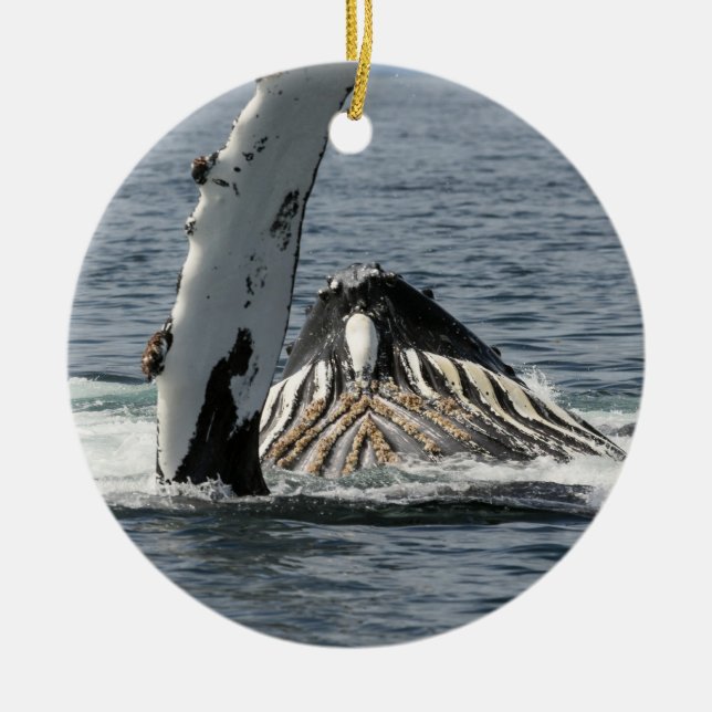 Humpback Whale Keramik Ornament (Vorne)