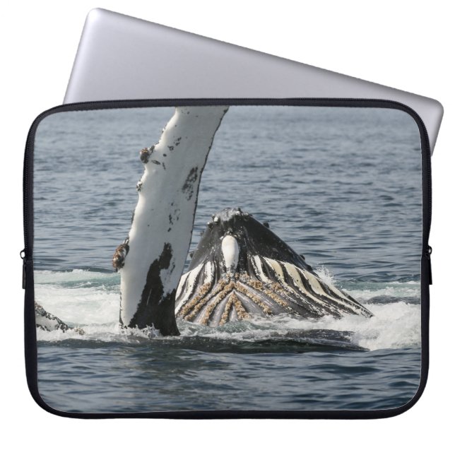 Humpback Whale Laptopschutzhülle (Vorderseite)