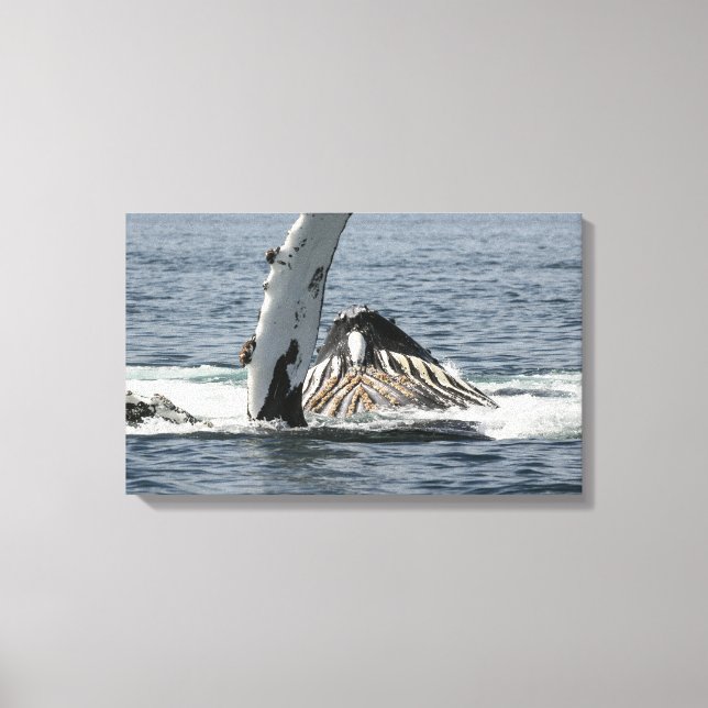 Humpback Whale Leinwanddruck (Vorderseite)