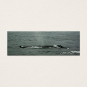 Humpback Whale Lesezeichen