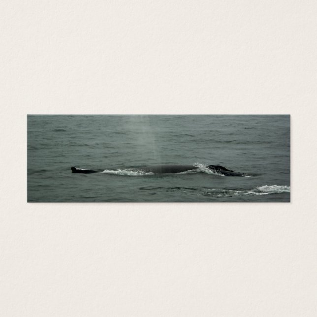 Humpback Whale Lesezeichen (Vorderseite)
