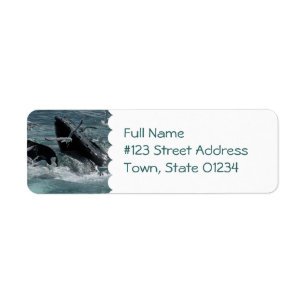 Humpback Whale Mailing Label