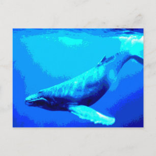 Humpback Whale Postkarte