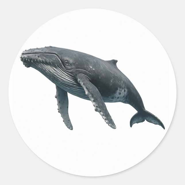 Humpback Whale Runder Aufkleber (Vorderseite)