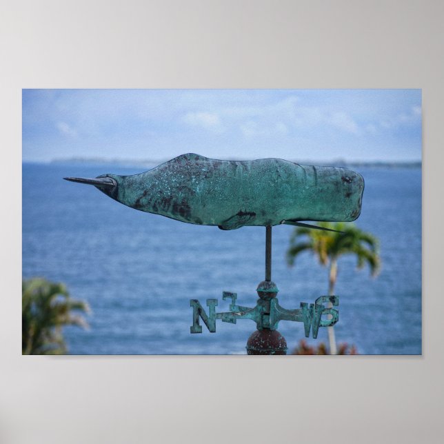 Humpback Whale Weather Vane Poster (Vorne)