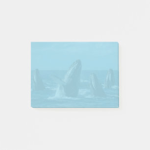 Humpback Whales Post-it Klebezettel