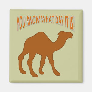 HUMPDAY ! CAMEL HUMP DAY WISSEN SIE, WAS DER TAG I MAGNET