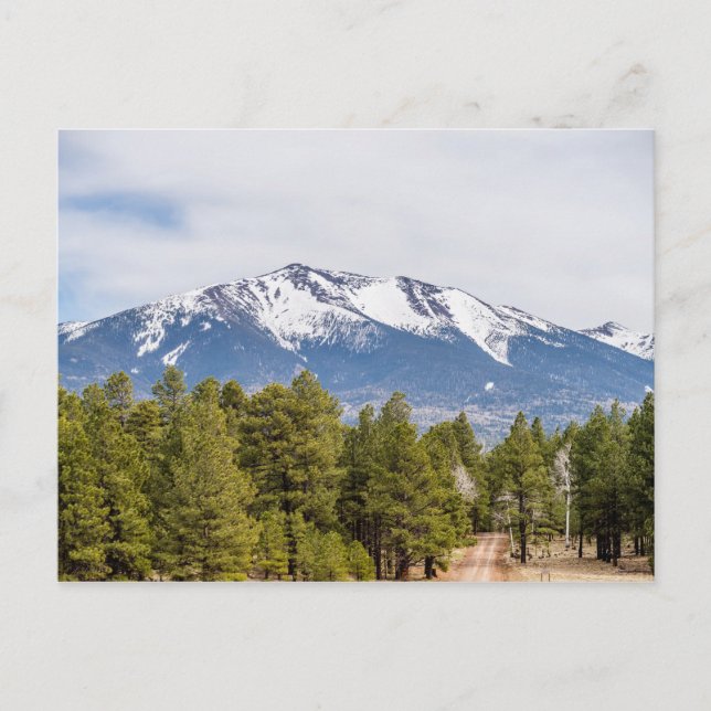 Humphrey Gipfel nahe Flagstaff arizona Postkarte (Vorderseite)