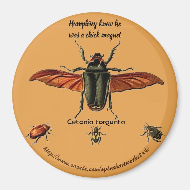 "Humphrey wusste, dass er ein Küken-Magnet war. Magnet (Vorne)