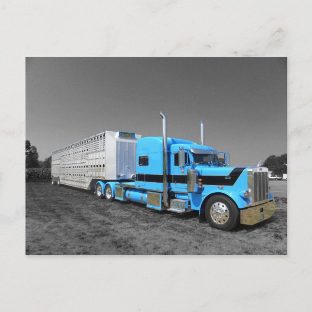 Humps Peterbilt 379 Postkarte (Vorderseite)