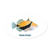 Humu Humu Fish