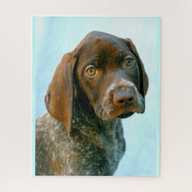 Hund (Vertikal)
